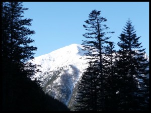 P1020366
